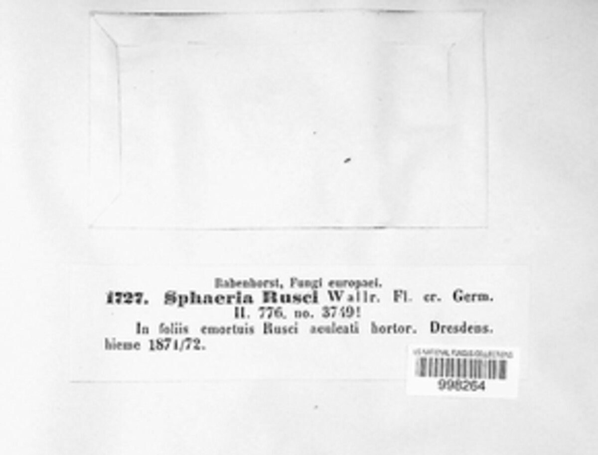 Phaeosphaeriopsis glaucopunctata image